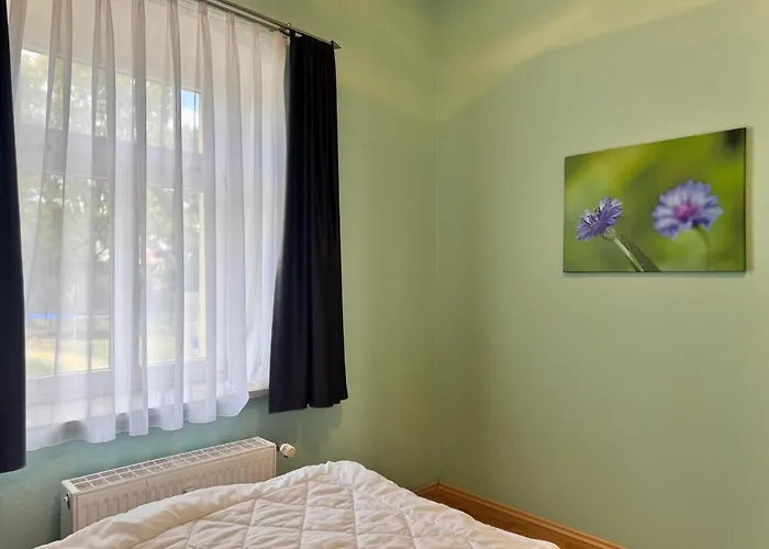 Otto Der Reiche In * Ballenstedt